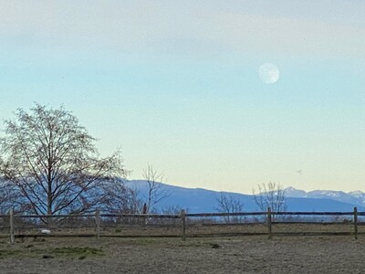 Link to: https://crescentmoon.foundation/counselling-fees-direct-billing-faqs#block-406