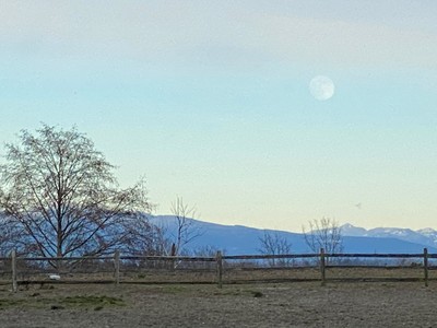 Link to: https://crescentmoon.foundation/counselling-fees-direct-billing-faqs#block-406