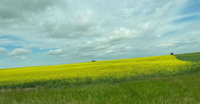 Clinical Counselling