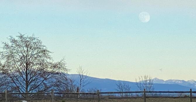 PTSD and Trauma Counselling image